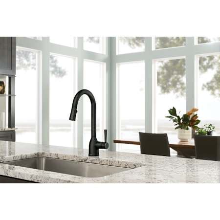 Moen 87233 Adler 1.5 GPM Single Hole Pull Down Kitchen Faucet ...