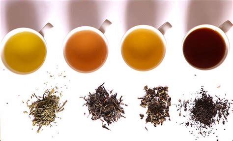 Do You Know About These Different Tea Grades? – Jayshree Tea