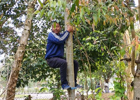 A Device for Climbing Areca-nut Tree - National Innovation Foundation-India