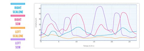 Image result for Motor Control Cervical Rotation