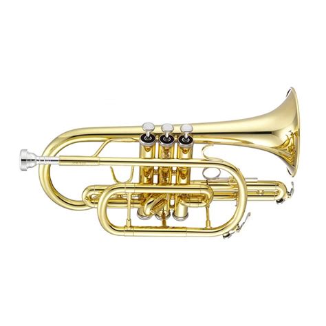 Image result for Cornet Musical Instrument