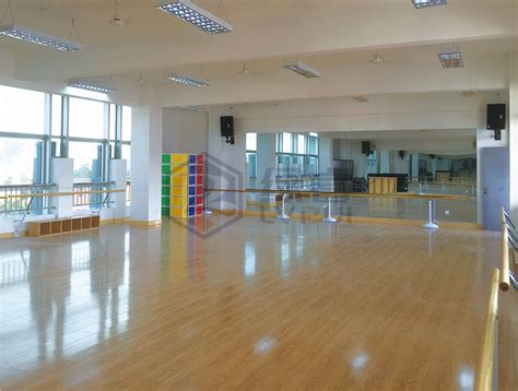舞蹈教室 舞蹈教室2 - 舞蹈教室、功能室设备 - 浙江绿盾教学设备有限公司