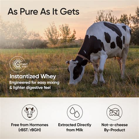 Whey Protein Isolate Dark Chocolate Powder – 26g Protein