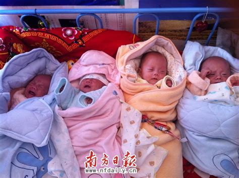 中国最红四胞胎父亲蒋受廉回应 承认超生或需缴纳35万罚款_社会新闻_海峡网