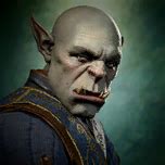 Companions - bg3.wiki