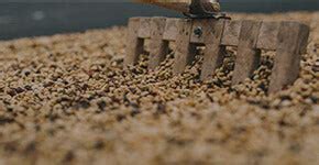 About Coffee Island India | Passion for the best Coffee & Quality