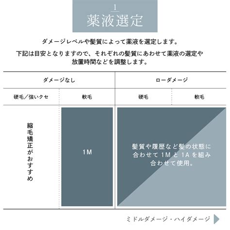 Ida Algorithm Example に対する画像結果