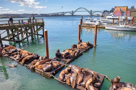 Accessible Activities and Restaurants in Newport, Oregon