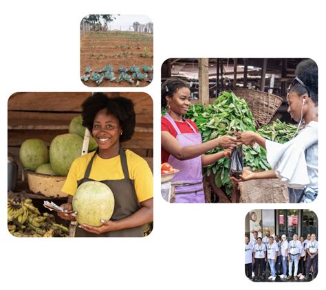 Image result for Microfinance Program