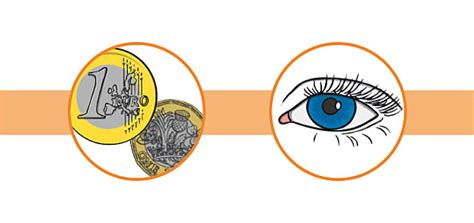 Interesting Ratio and Proportion Facts for Kids - Twinkl Homework Help