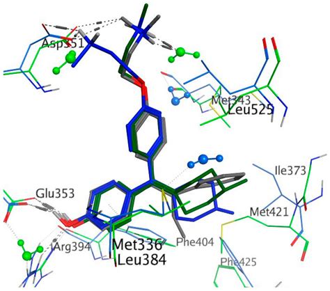 Novel Selective Estrogen Receptor Ligand Conjugates Incorporating ...