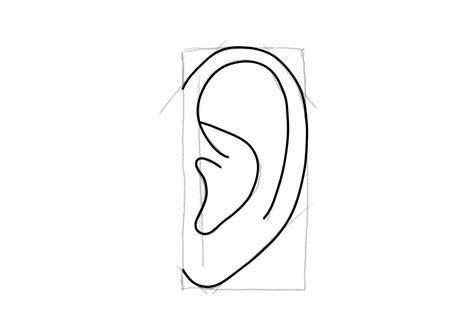 Image result for Ear Drawing Tutorial