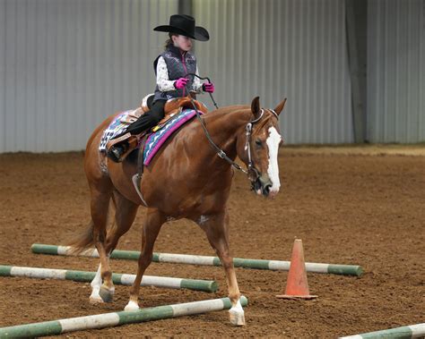 Texas Racing Commission| TXRC Official