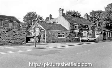 Searching Picture Sheffield