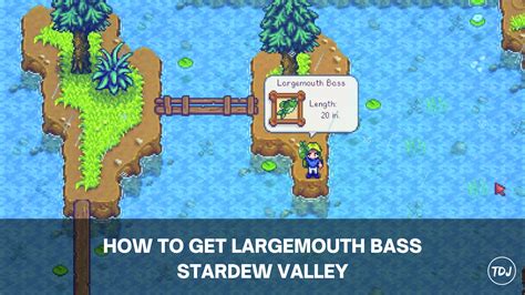 Stardew Valley – How to Get Largemouth Bass – The Daily Juice