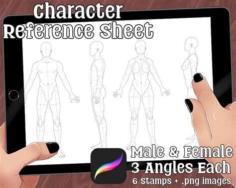 Character Reference Sheet Base Template Male and Female 6 Stamps + .png ...