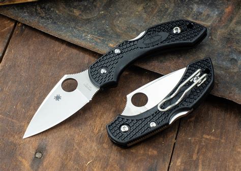 Spyderco: Dragonfly 2 | In Stock