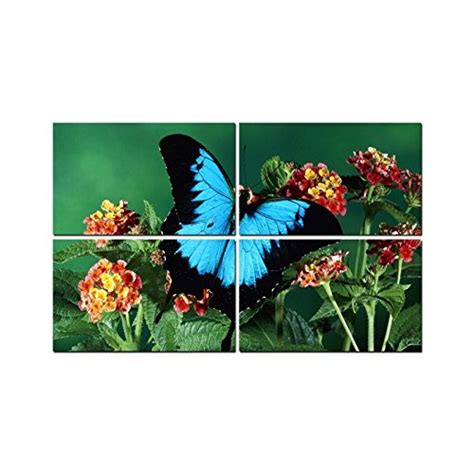 Little Jaipur Butterfly 4 Panel Wall Art Painting with UV Coating 36x24 ...