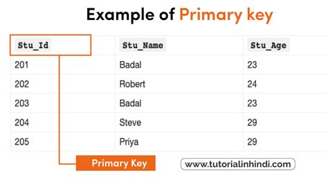 Primary Key in DBMS in Hindi (प्राथमिक कुंजी क्या है) - Tutorial in Hindi