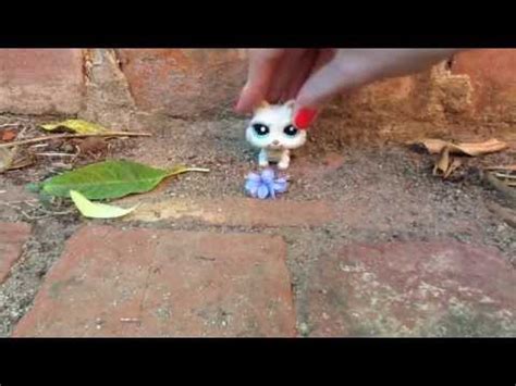 LPs Tangled Part 2 的图像结果