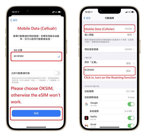 Esim Tutorial 的图像结果