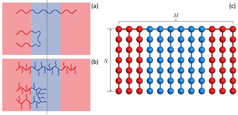 Loop and Bridge Conformations of ABA Triblock Comb Copolymers: A ...