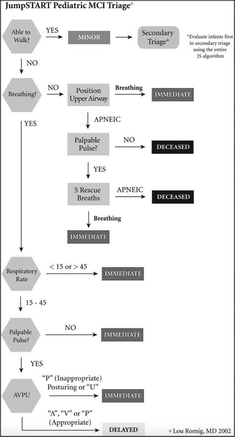 Computer-Based Simulation 的图像结果