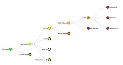 Image result for Taxonomy Basics