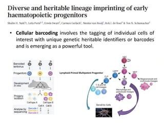 Image result for Cellular Barcoding Images