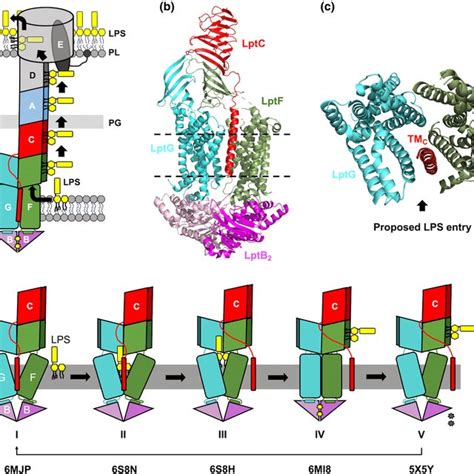 LPS Algorithm 的图像结果