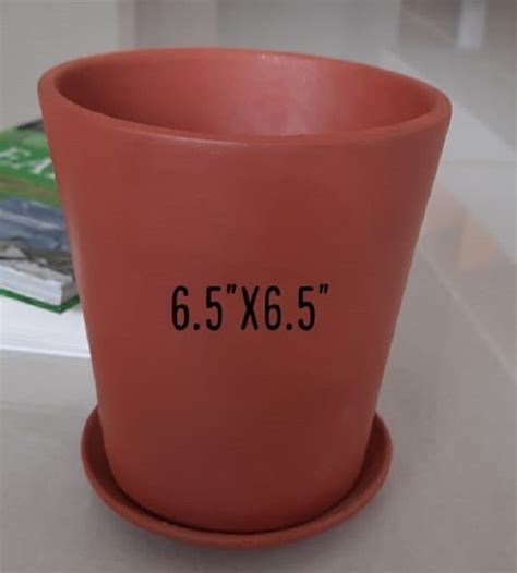 Flower pot with saucer 6.5 inch | TheGreenyard.in