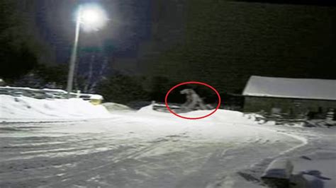 Dogman Encounters Dark Waters 的图像结果