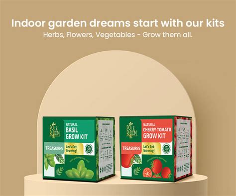Buy Treasure Kits For Your Garden Online in India at Pot and Bloom