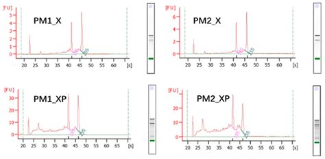Uncovering miRNA-mRNA Regulatory Modules in Developing Xylem of Pinus ...