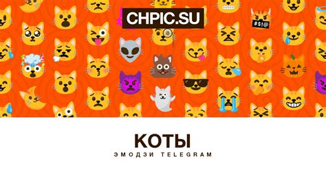 Эмодзи телеграм Коты