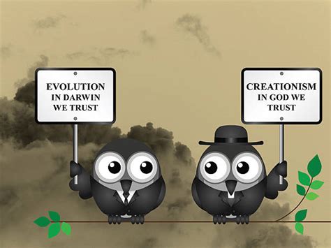 Image result for Creationism Vs Evolution
