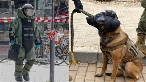 Image result for Alienacion De Bomba