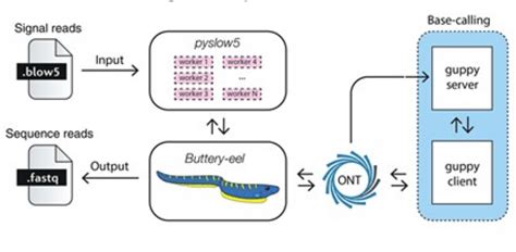 Image result for Multi-Core Processing IronPython
