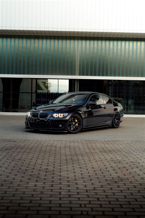 Power of the Alpha Submissive Female: A Deep Dive into Strength and ...