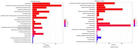 A Combined mRNA and microRNA Transcriptome Analysis of B. oleracea ...