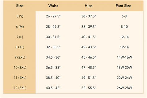 Women's Underwear Size Chart – Omi Beauty