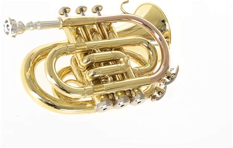 Buy Roy Benson Bb Pocket-Trumpet MOD.PT-101 Lacquered Finish, incl ...