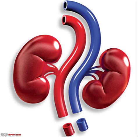 51 Indians die of kidney failure every 2 hours - Team-BHP