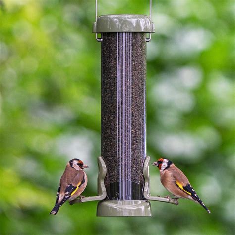 Niger Bird Seed Feeder | Nyjer Seed Feeder | Living With Birds