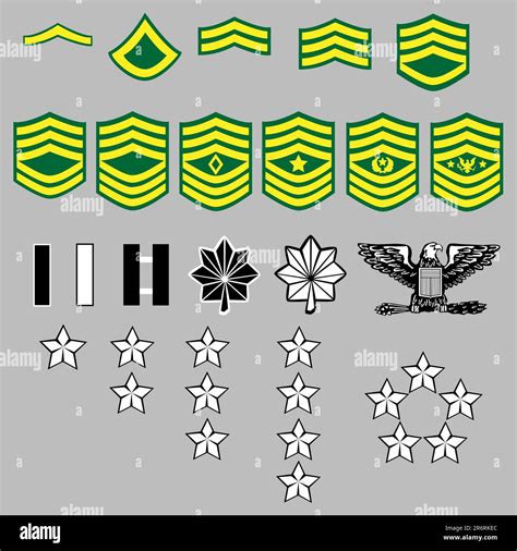 US Army rank insignia for officers and enlisted in vector format Stock Vector Image & Art - Alamy