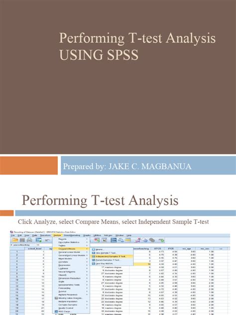 Spss T Test | PDF