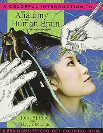 Buy Colorful Introduction to the Anatomy of the Human Brain, A: A Brain ...