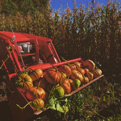 Plan Bee Farm Brewery