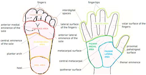 Pattern Analysis of Benign and Malignant Atypical Melanocytic Skin ...