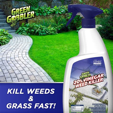 Green Gobbler 20% Vinegar Weed & Grass Killer ,1 Gallon Spray | BIGBIGMART
